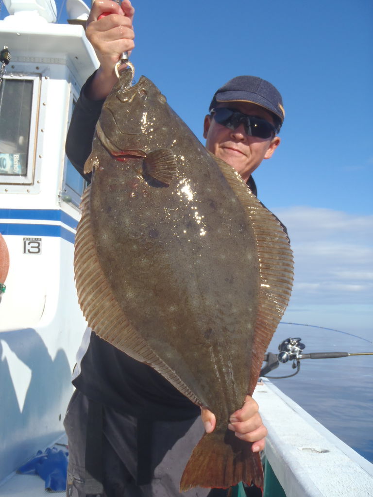 9月8日 赤イカ 泳がせ釣り 能登半島 釣船 彦左衛門丸