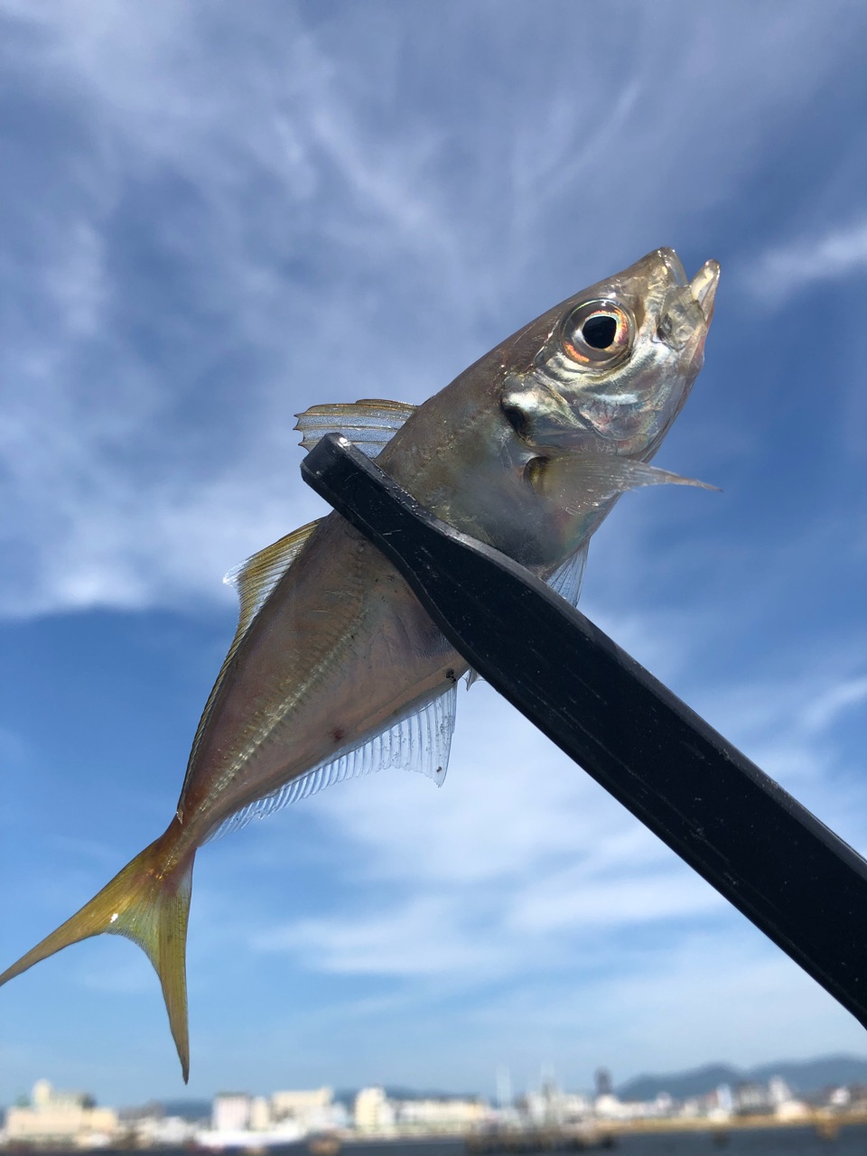 リップルフィッシャー リアルクレセント RC-55 ひさびさに神ロッドに出会った！リップルフィッシャー リアル