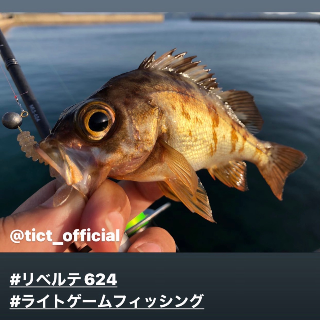 昨実はルアパラの撮影で佐賀の離島 加唐島 小川島 松島 馬渡島 向島にお邪魔して来ました ヽ ヮ ノ ぽけっとの小物gomoku日誌 博多湾