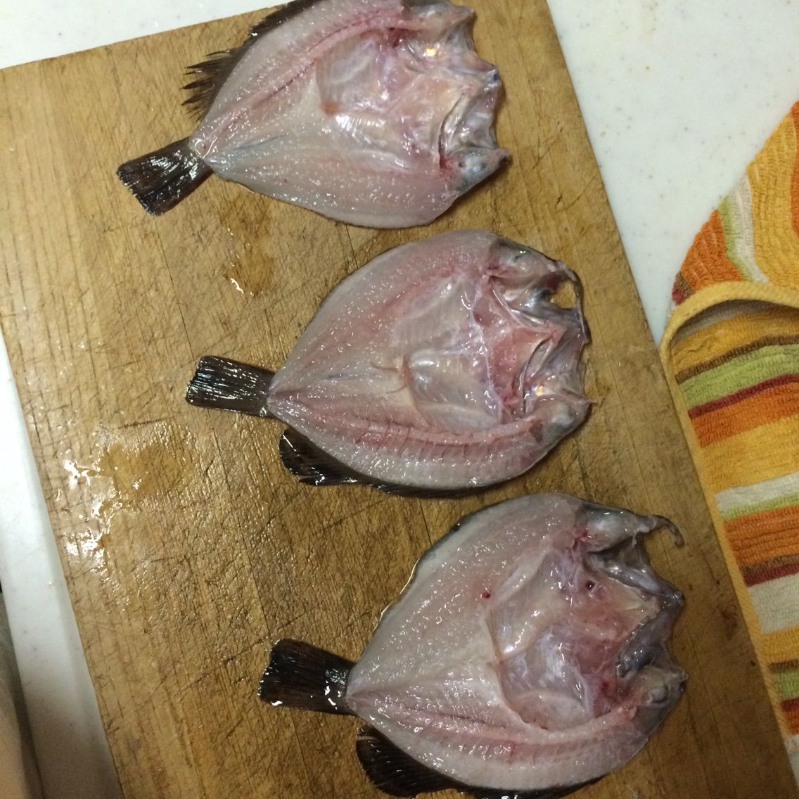 メバルの調理編 みりん干しを作ろう っと O ぽけっとの小物gomoku日誌 博多湾 メバルの調理編 みりん干しを作ろう っと O ぽけっとの小物gomoku日誌 博多湾
