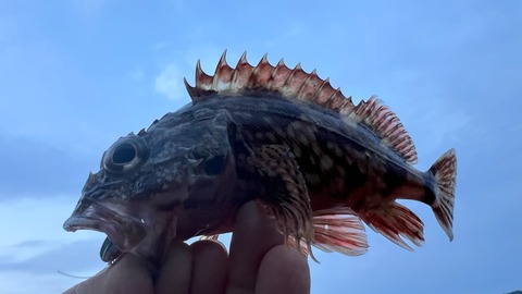 FullSizeRender