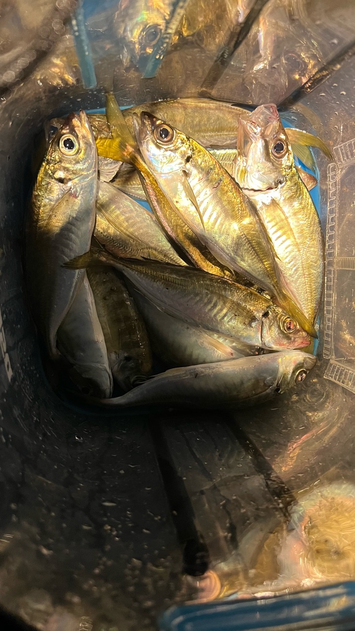 詳細不明】時代物 置物 魚を担ぐ男 擎蒼社 フィギュア用背景置物（明灯