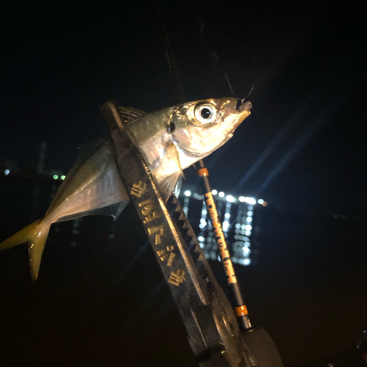 ここ最近の豆アジングの傾向と ちょっとしたコツについて ﾉ ぽけっとの小物gomoku日誌 博多湾