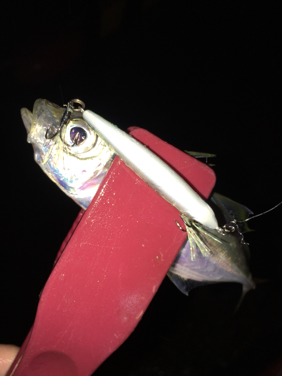 雨のなか プラグアジングを満喫 ヽ ヮ ノ ちょっと工夫して豆アジもプラグでゲットしましょww ぽけっとの小物gomoku日誌 博多湾