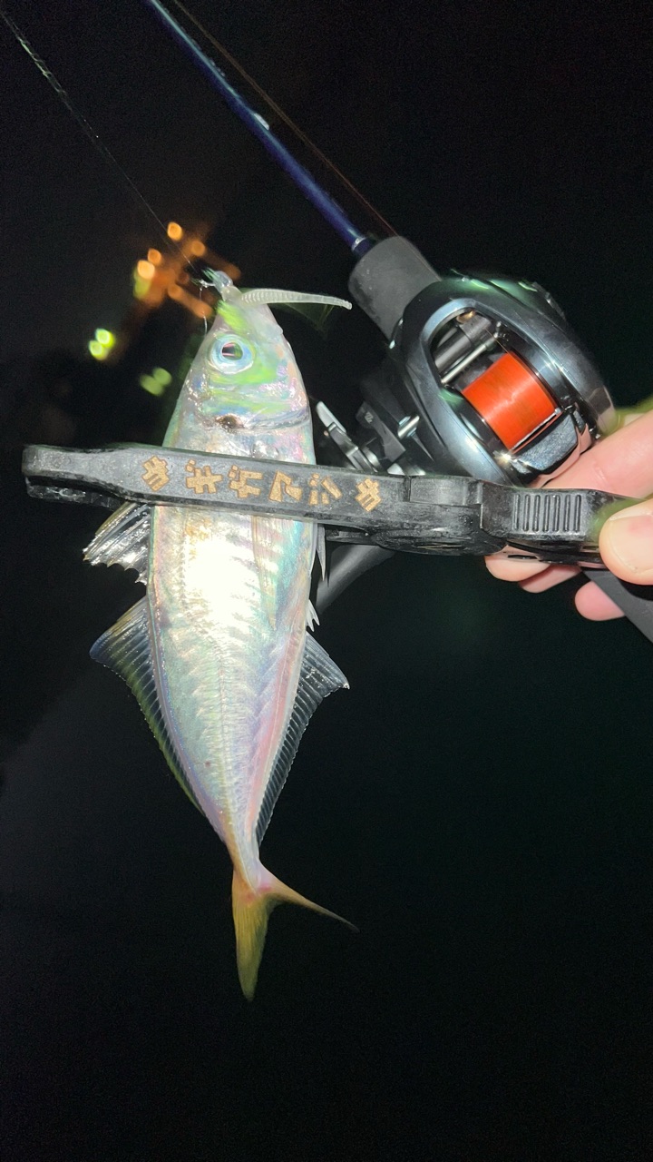 ベイトリールのキャスト練習3日目 今日はオーバーヘッドキャストに挑戦 W ノコントロールさえ手に入れば すぐにアジゲット ぽけっとの小物gomoku日誌 博多湾 ベイトリールのキャスト練習3日目 今日はオーバーヘッドキャストに挑戦 W ノコントロールさえ手に入れば すぐにアジゲット ぽけっとの小物gomoku日誌 博多湾