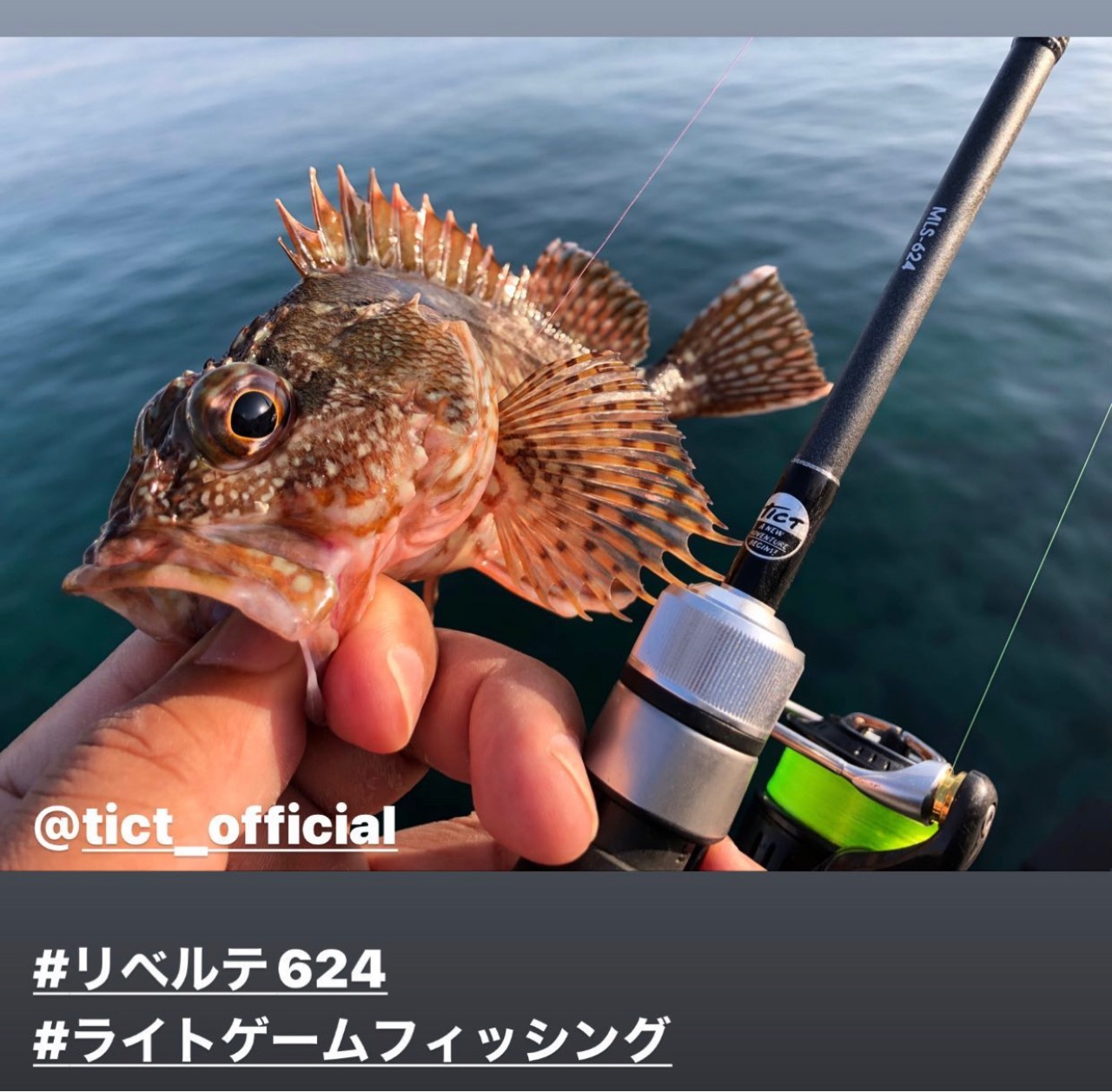 昨実はルアパラの撮影で佐賀の離島 加唐島 小川島 松島 馬渡島 向島にお邪魔して来ました ヽ ヮ ノ ぽけっとの小物gomoku日誌 博多湾