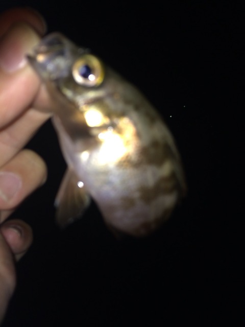2015-09-19-03-44-25