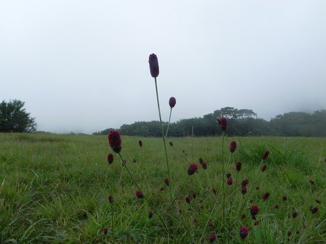 DSCN8529
