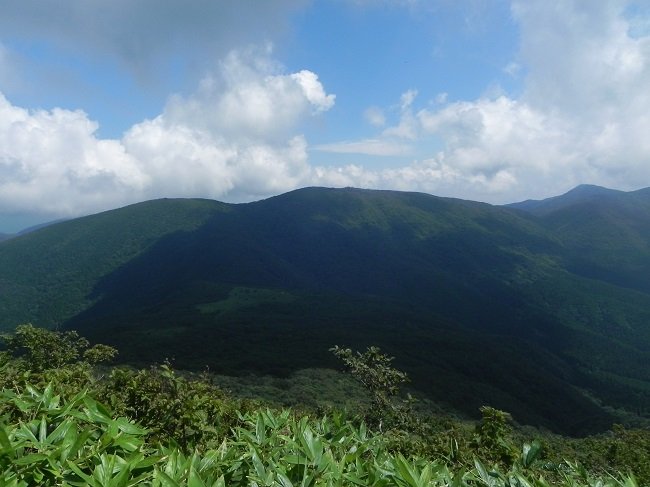DSCN8601