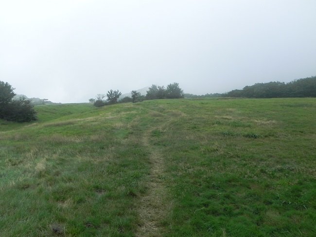 DSCN8527