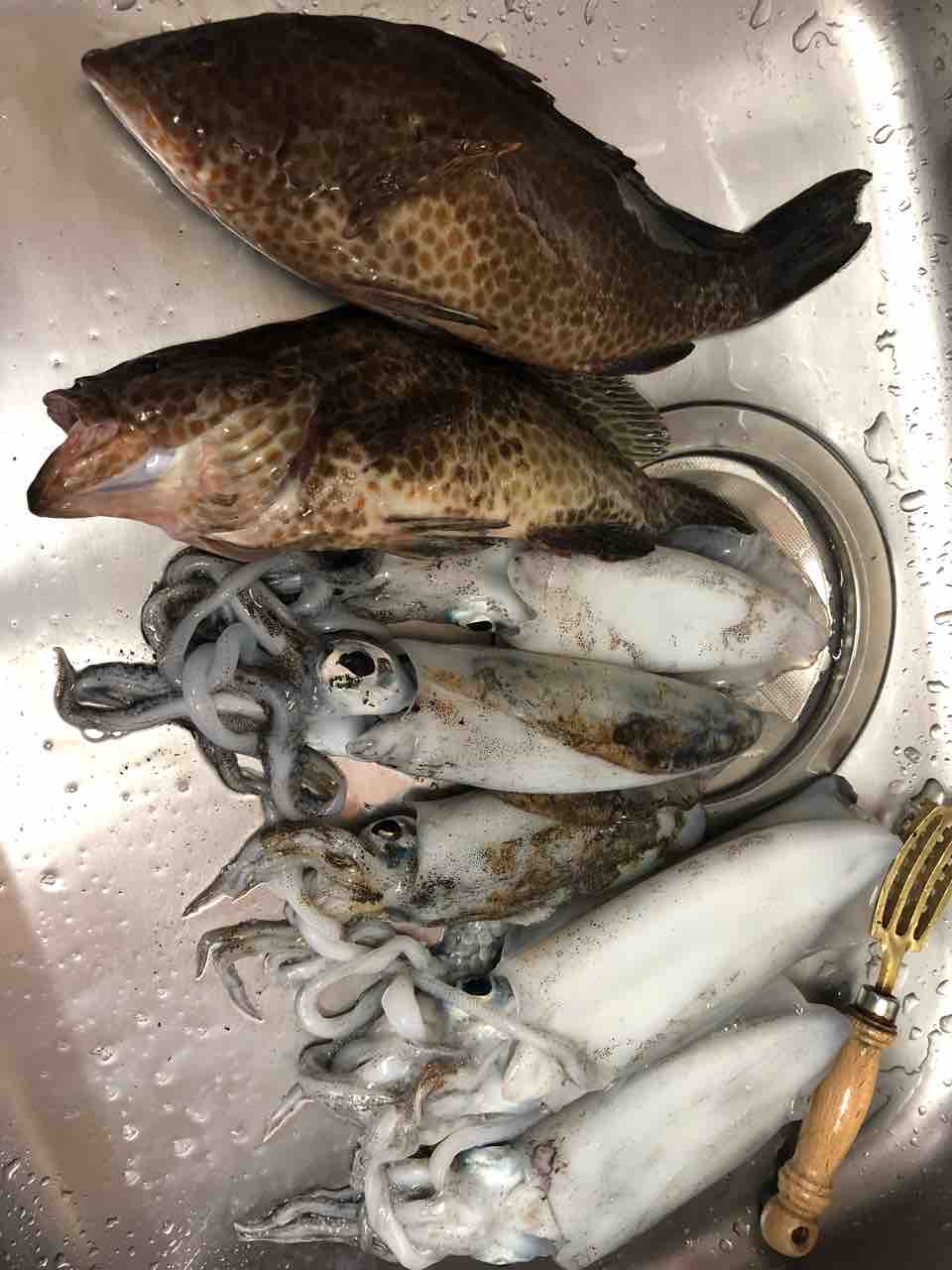 ロックフィッシュ仕留めました 3 Sun 4 Sea 5 Go