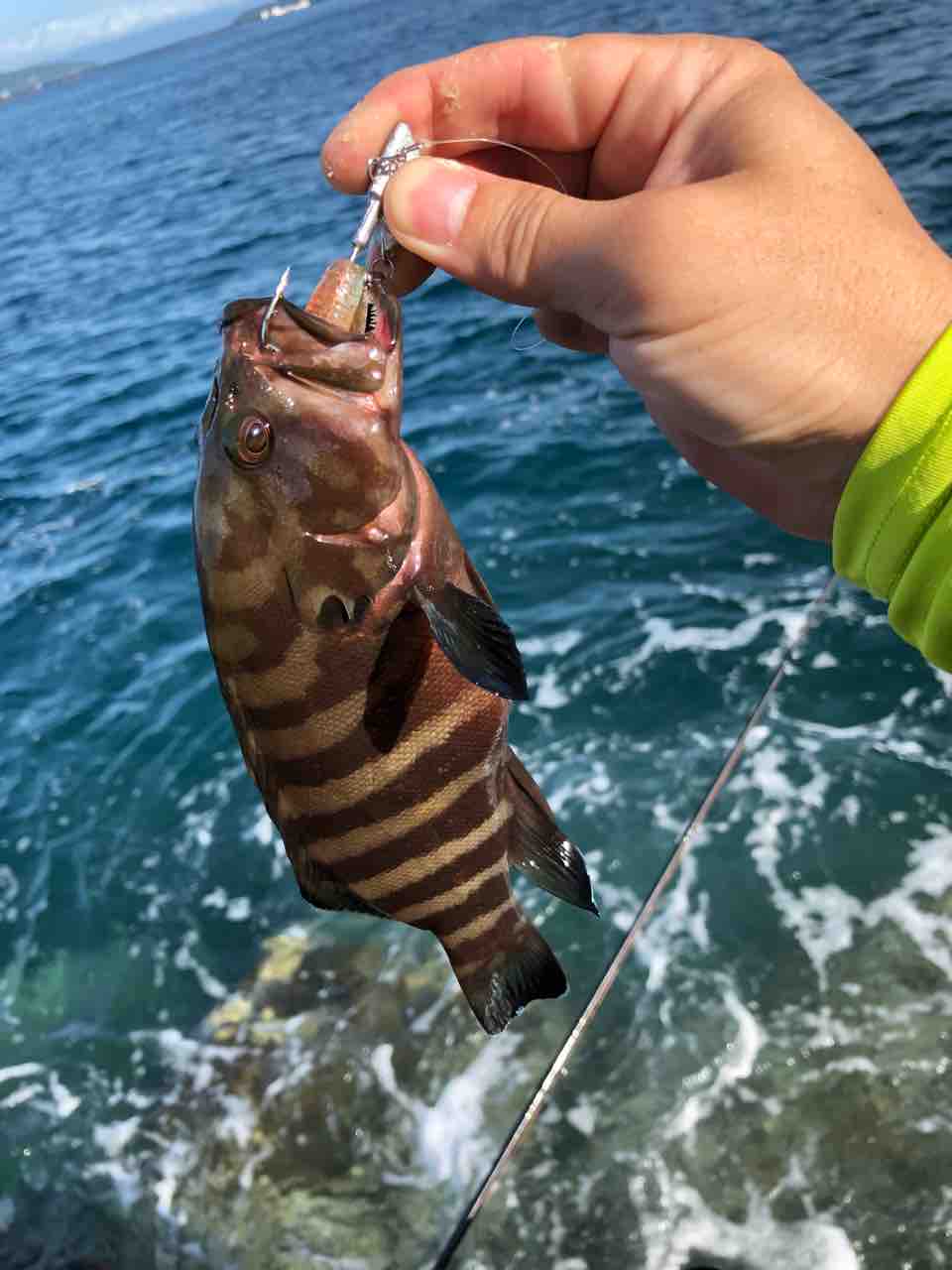 ノープラン 3 Sun 4 Sea 5 Go