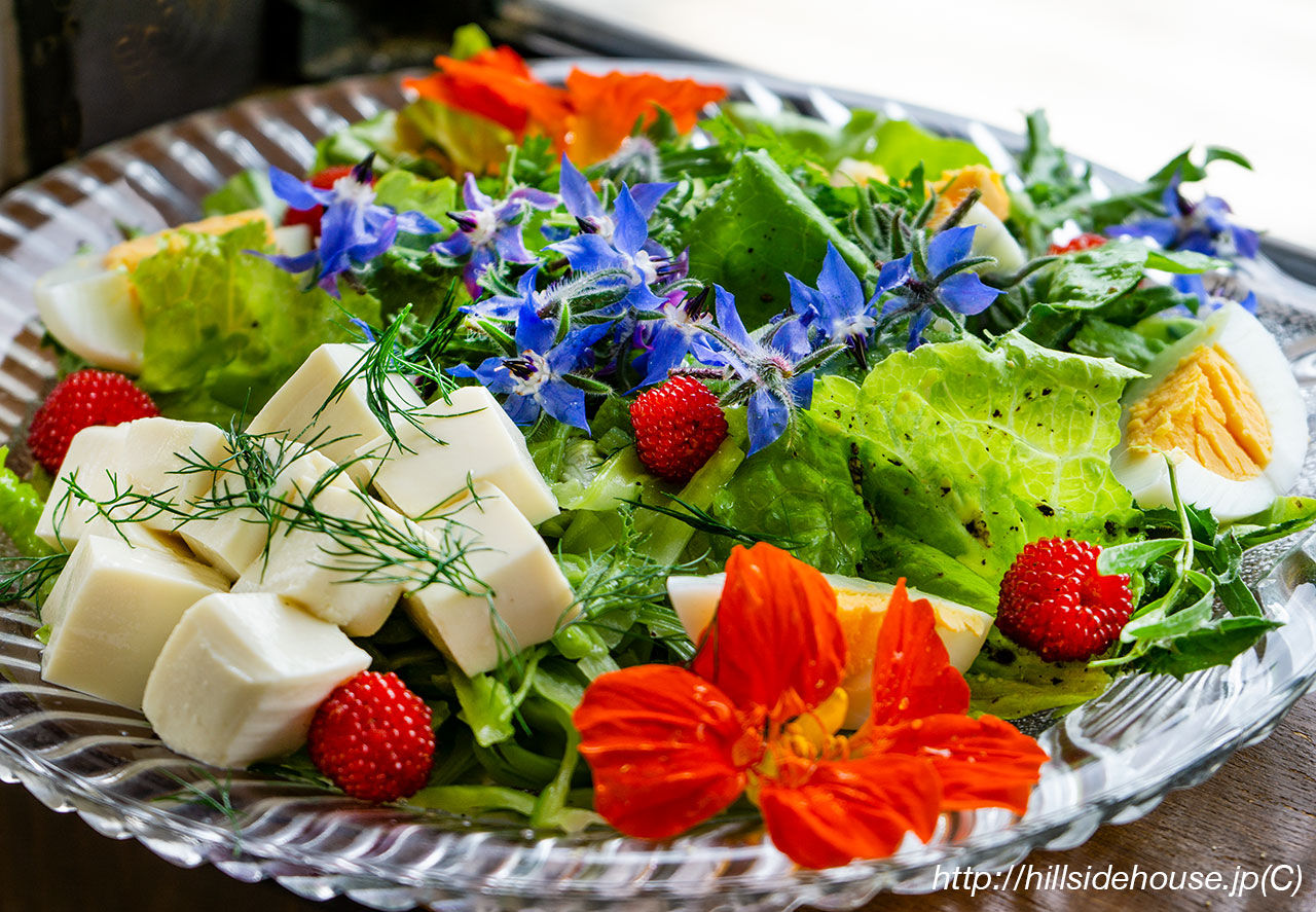 ボリジの花のサラダ 季節の庭をお皿の上に