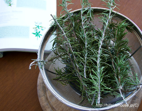 2019-04-04-rosemary05