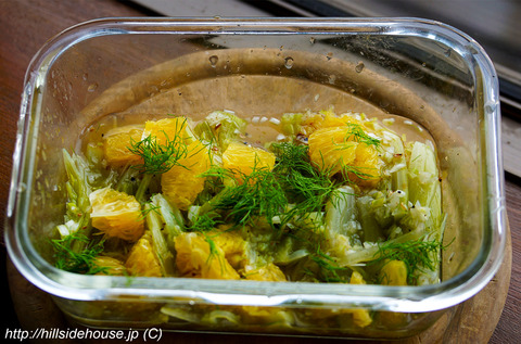 2019-03-07-fenchel-salat