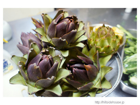 2012-06-09-artichoke