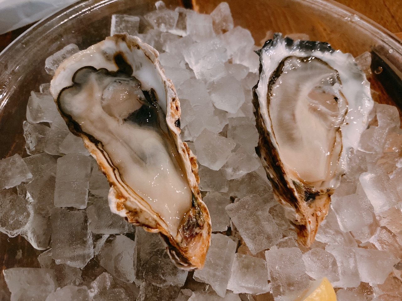 サーネリック・ブル