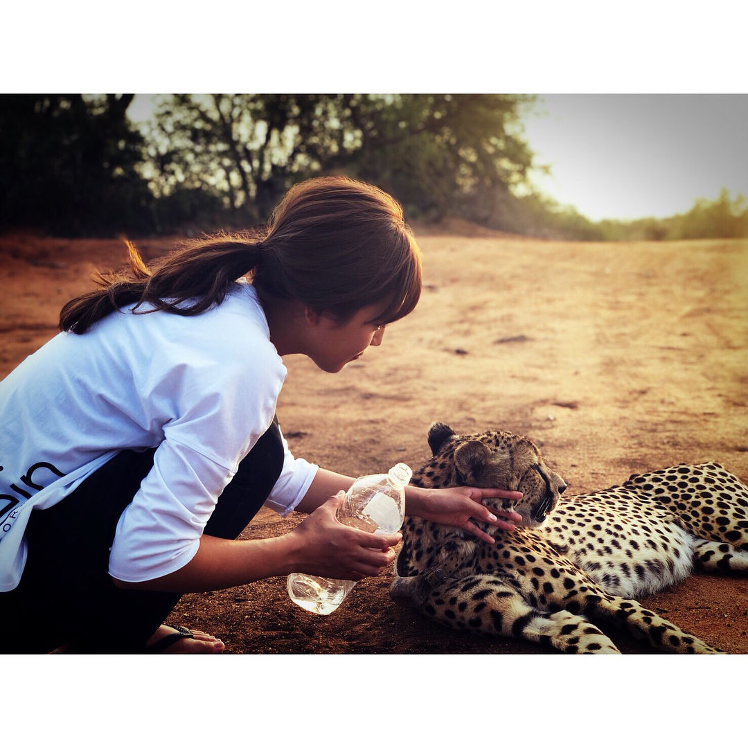 川口春奈、アフリカでチーターと寄り添う「顔デカイからや」 : HIMAJYOのまとめ｜美容・ダイエット・ファッション・エンタメ 女子のための2chまとめ