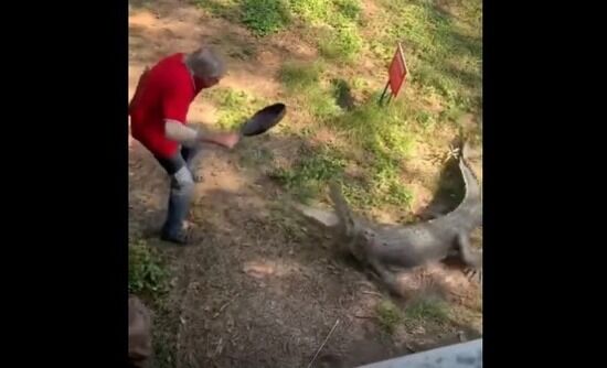 【動画】おっさん、フライパンでワニを撃退ｗｗｗ : ヒマをもてあました神々のまとめ