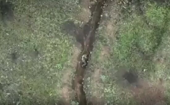 【動画】すやすやロシア兵「また空から爆弾降ってきたわ・・・」ポイー : ヒマをもてあました神々のまとめ