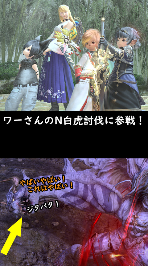 ffxiv_20190516_003417_424