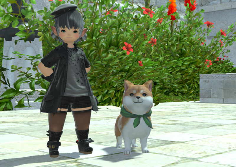 漫画 お前の勧誘には乗らない Ff14 Himabami 新生 漆黒シーズン