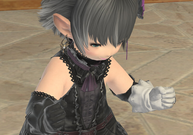 FF14 エメトセルク ヒュトロダエウス ヴェーネス おまけ FF14 エメトセルク ヒュトロダエウス ヴェーネス おまけ