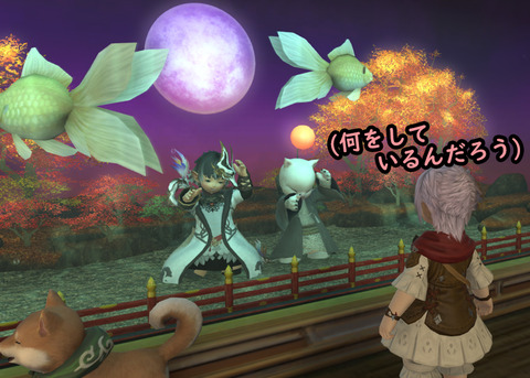 ffxiv_20190513_230125_248