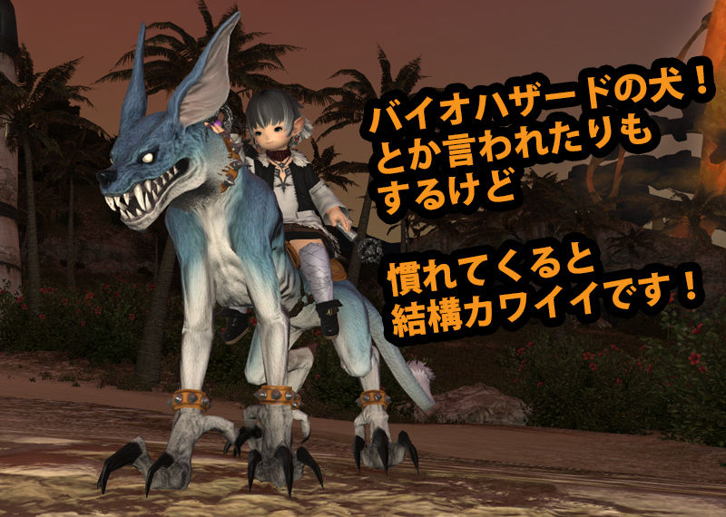 プチ漫画 今日のわんこ マウント himabami プチ漫画 今日のわんこ マウント himabami