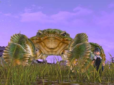 ffxiv_20210121_113437_374