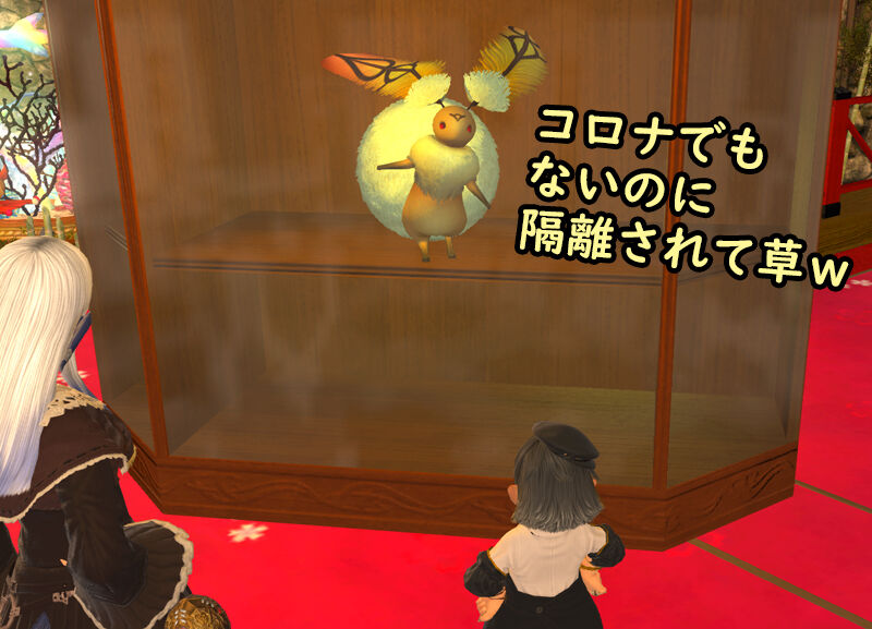 気になってたショーケース Ff14ブログ Himabami 新生 漆黒シーズン