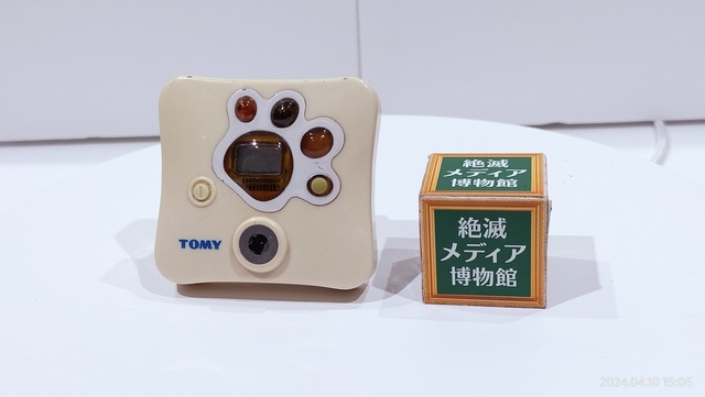 IMG20240410150522