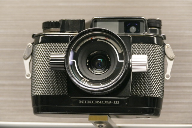 P2030448