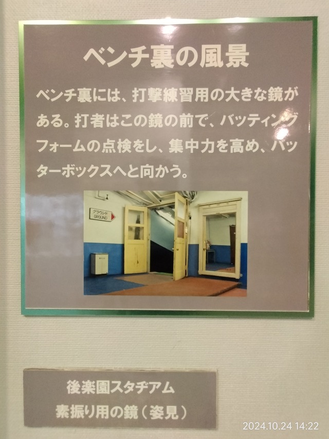 IMG20241024142237