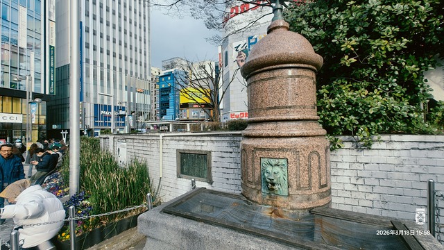 IMG20260318155829