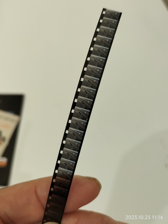 IMG20231023111443