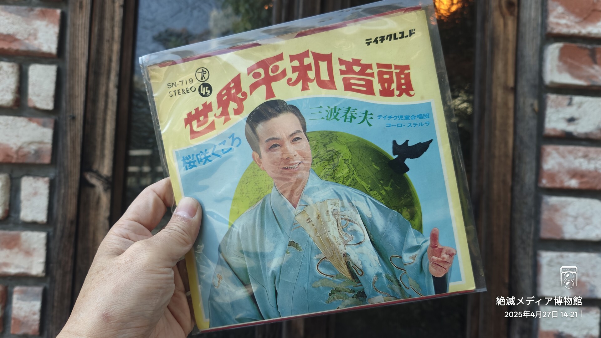 Extinct Media Museum Tokyo - Vinyl：レコード