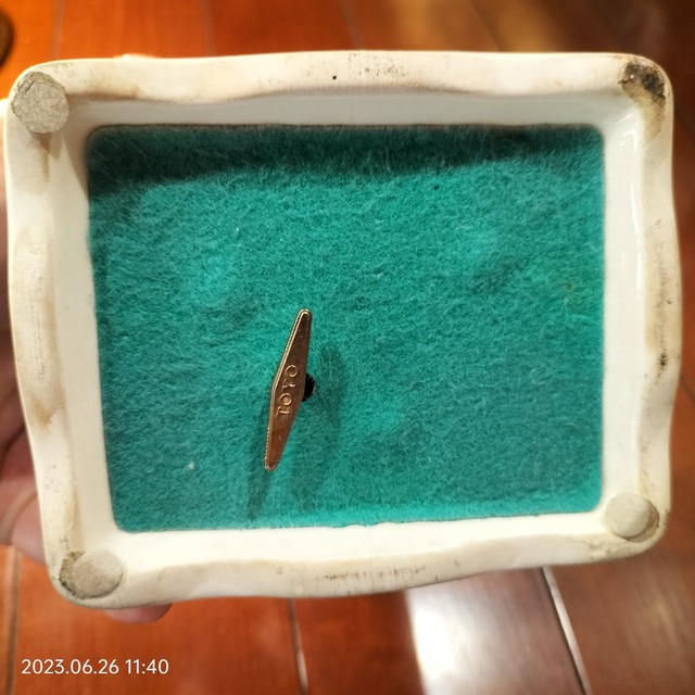 IMG20230626114023