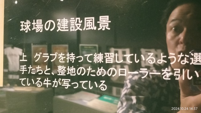 IMG20241024143721