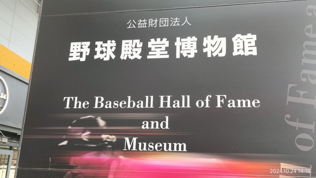 IMG20241024141823