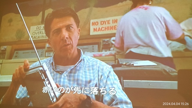 IMG20240404152646