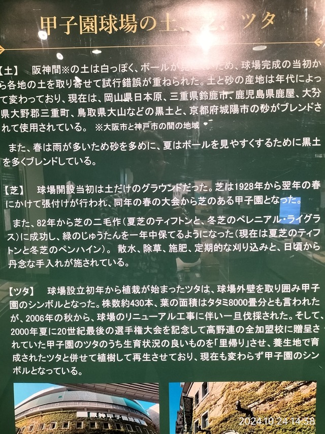 IMG20241024143829
