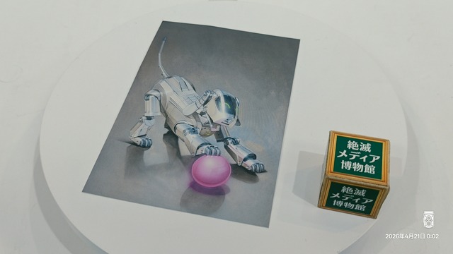 IMG20260421000242