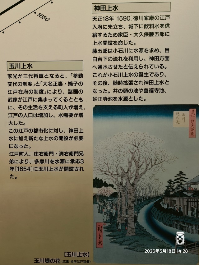 IMG20260318142848