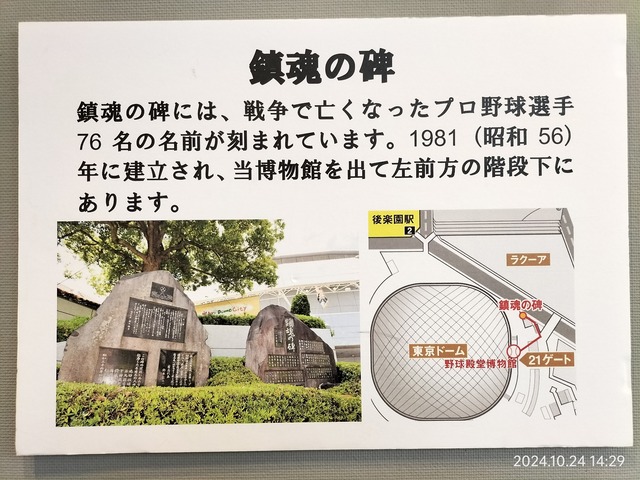 IMG20241024142923