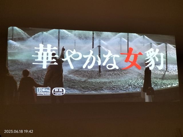 IMG20230618194219