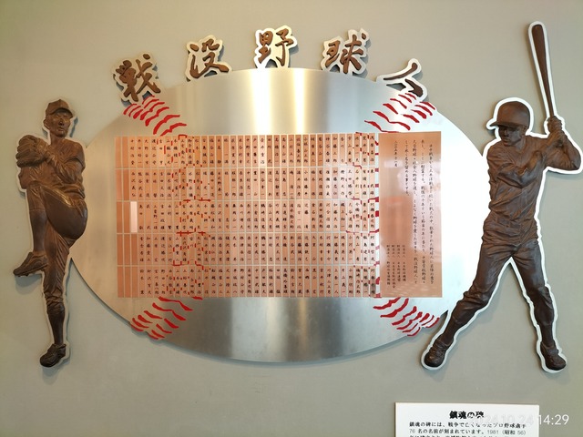 IMG20241024142933