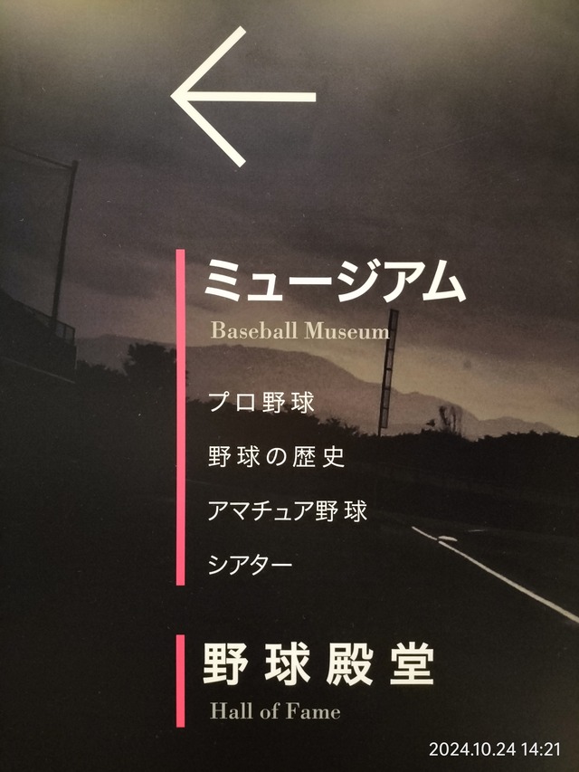 IMG20241024142101