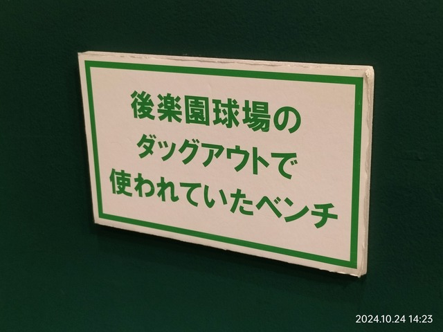 IMG20241024142351