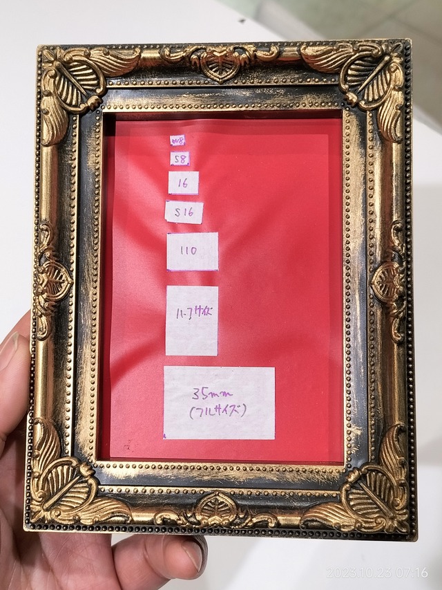 IMG20231023071655